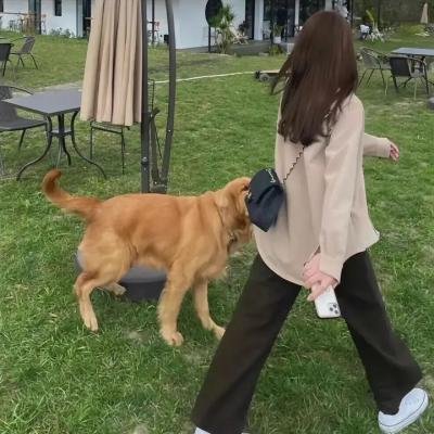 小小间谍:博客战争